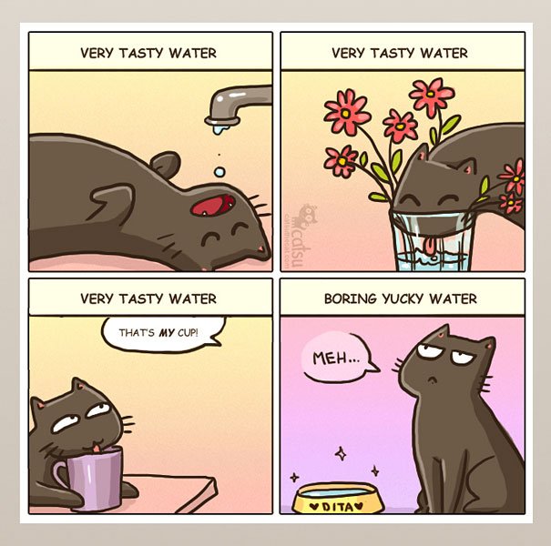 15 ilustrações que mostram o que é viver com um gato