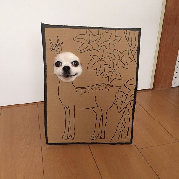 Japonesa cria disfarces de cartão hilariantes para o seu cão, e derrete a internet