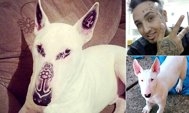 Fez 5 tatuagens ao cão, e a internet não lhe perdoou