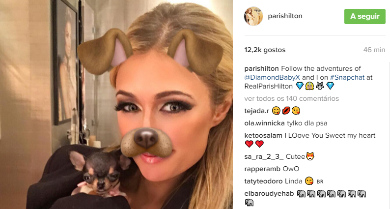 Paris Hilton comprou um cão por 7.200€