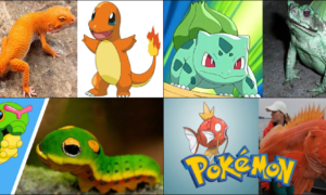 11 Pokémons que existem na vida real