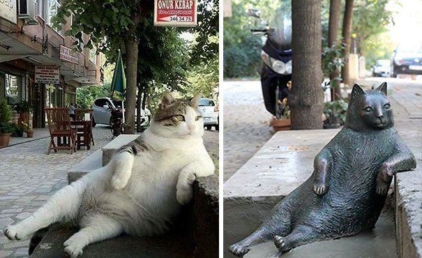 O gato mais famoso da web, tem agora uma estátua em Istambul