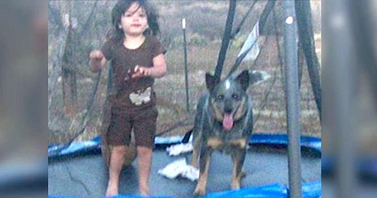 Menina de 3 anos desapareceu. 15 horas depois viram o cão a protegê-la do frio
