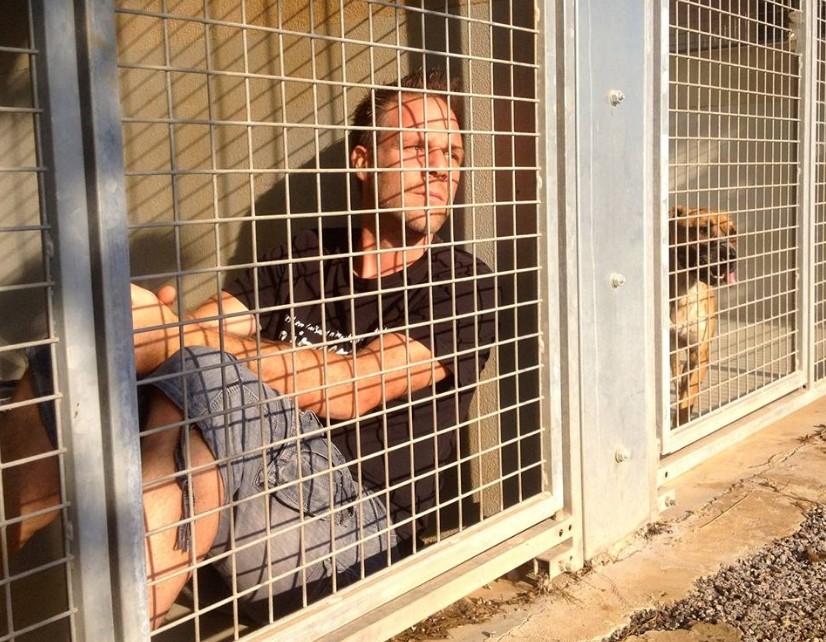 Remi Gaillard já está trancado num canil até que todos os cães sejam adotados