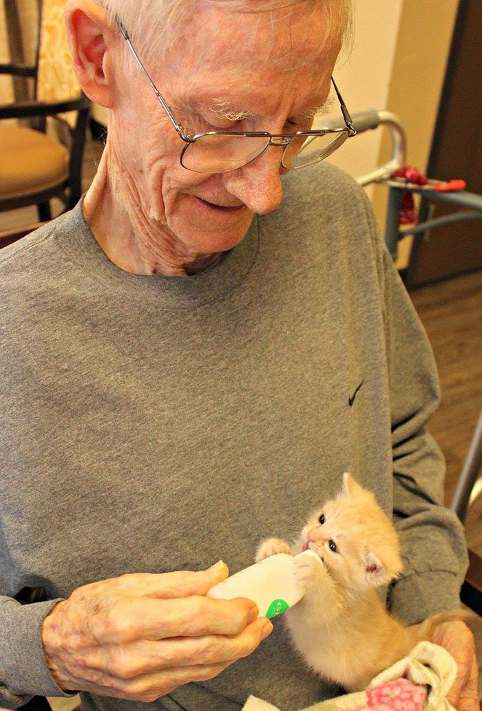 Abrigo para animais faz parceria com lar de idosos, para se salvarem mutuamente