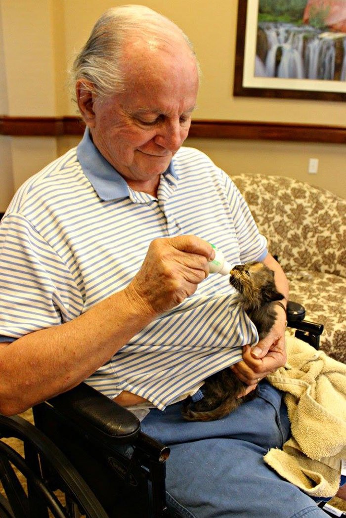 Abrigo para animais faz parceria com lar de idosos, para se salvarem mutuamente