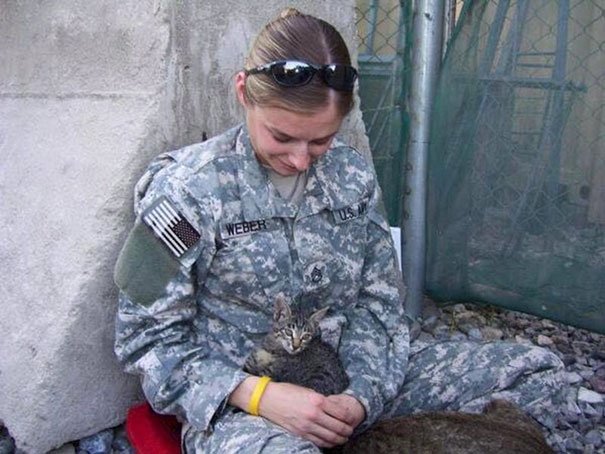 Militar americana fez de tudo para não deixar este gato doente no Afeganistão