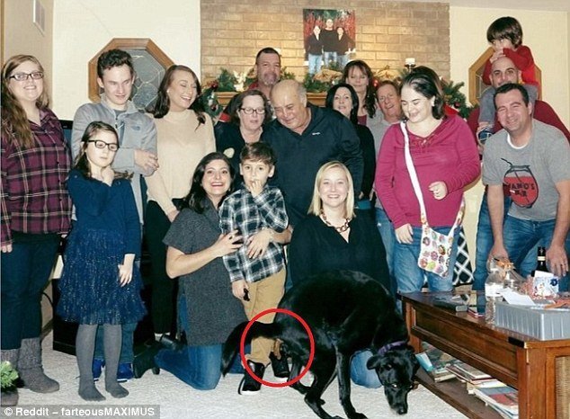 Este cão decidiu dar um toque de génio na fotografia de Natal da família