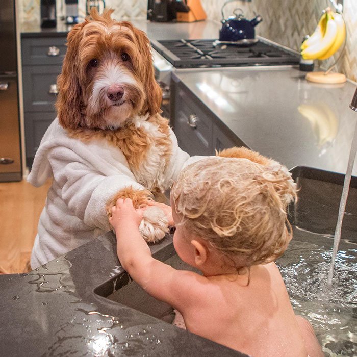 A ternurenta amizade entre este menino e o seu cão, derrete corações pela internet fora