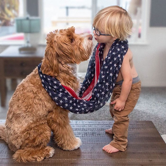 A ternurenta amizade entre este menino e o seu cão, derrete corações pela internet fora