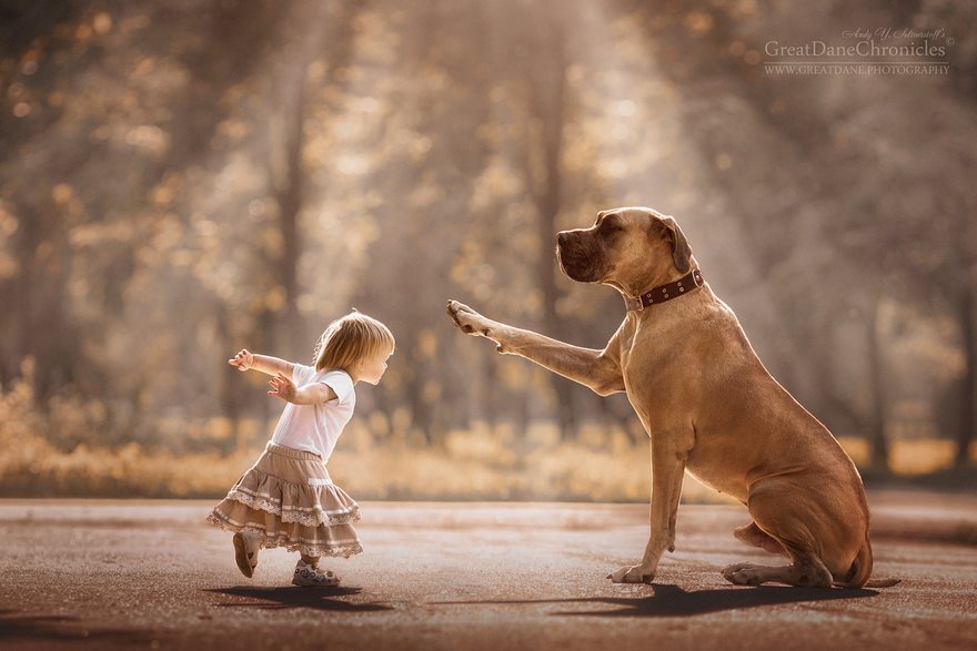 Fotografias inspiradoras mostram cães «gigantes» a brincar com os seus pequenos donos