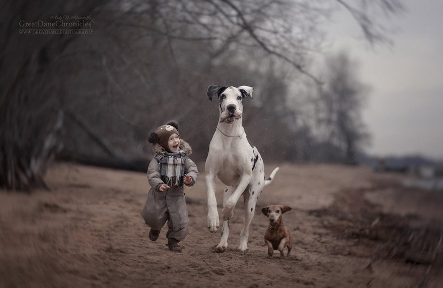 Fotografias inspiradoras mostram cães «gigantes» a brincar com os seus pequenos donos