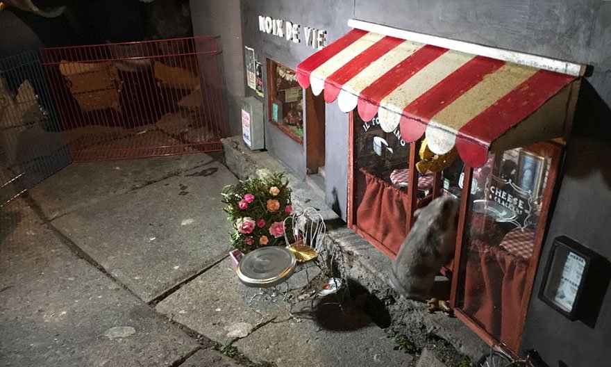Mini-restaurantes para ratos estão a abrir na Suécia, pela mão dos Anonymouse
