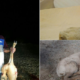 Maradona fotografado com animal em vias de extinção, causa polémica nas redes sociais