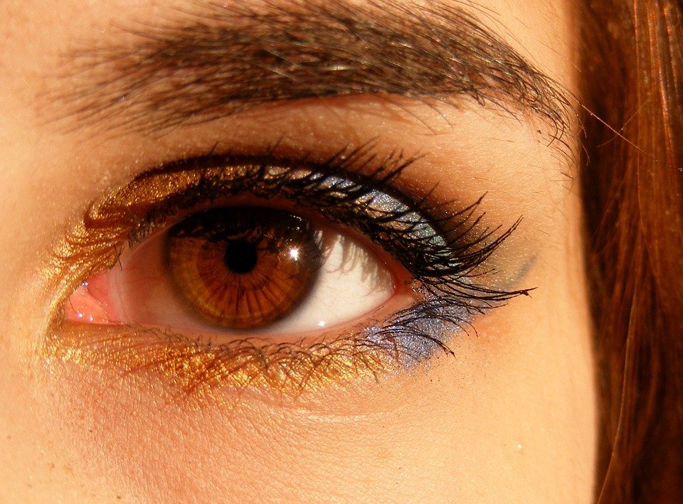 A ciência confirma: «todos temos olhos castanhos»