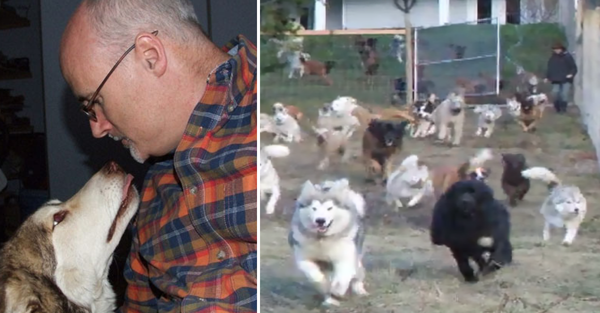 Ele adotou 45 cães de um canil, e fez uma coisa verdadeiramente incrível