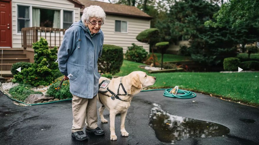 Idosa de 92 anos já não saía de casa, até que conheceu este cão
