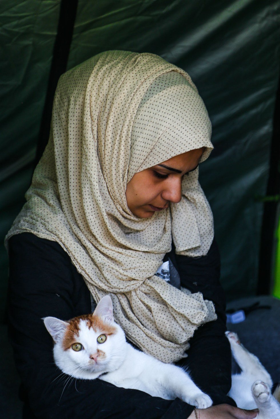 Esta família síria perdeu tudo, mas recusou-se a abandonar o gato