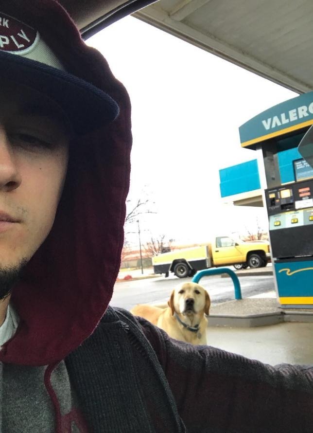 Ele ia ajudar este cão que parecia «perdido», até que viu a placa na coleira e ficou surpreendido