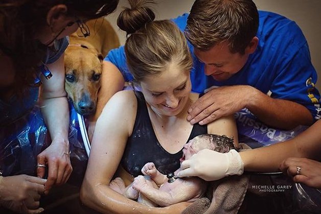Fotos de animais a «ajudar» os donos no momento do parto, são puro amor