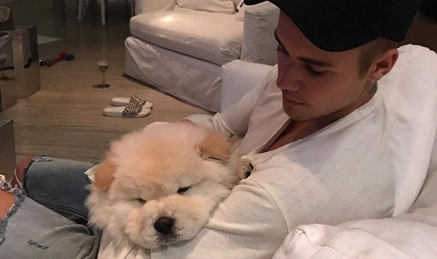 Justin Bieber «abandonou» o seu cão chow-chow, que está doente