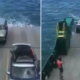Vídeo capta momento em que um carro caiu de um ferry-boat