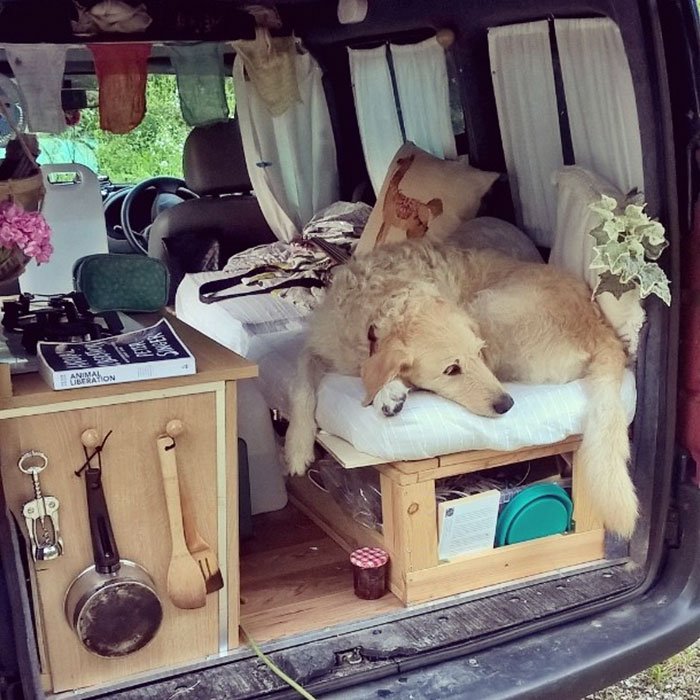 Restaurou carrinha velha para viajar com o seu cão pelo mundo. Só gastou 500€