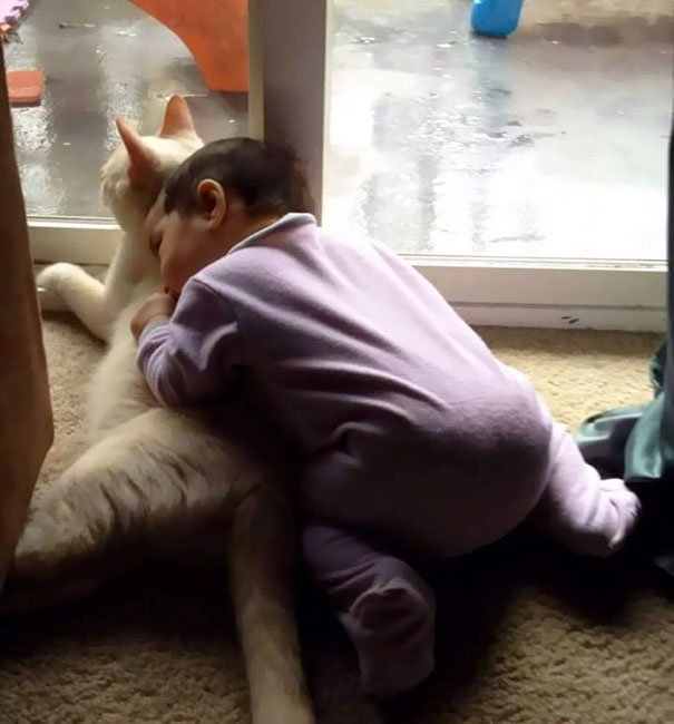 Esta menina dorme com o gato desde o dia em que se conheceram