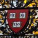 Universidade de Harvard tem curso de fotografia completo, grátis e online