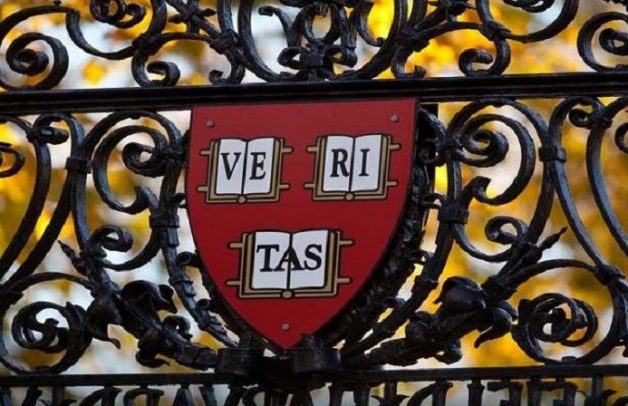 Universidade de Harvard tem curso de fotografia completo, grátis e online