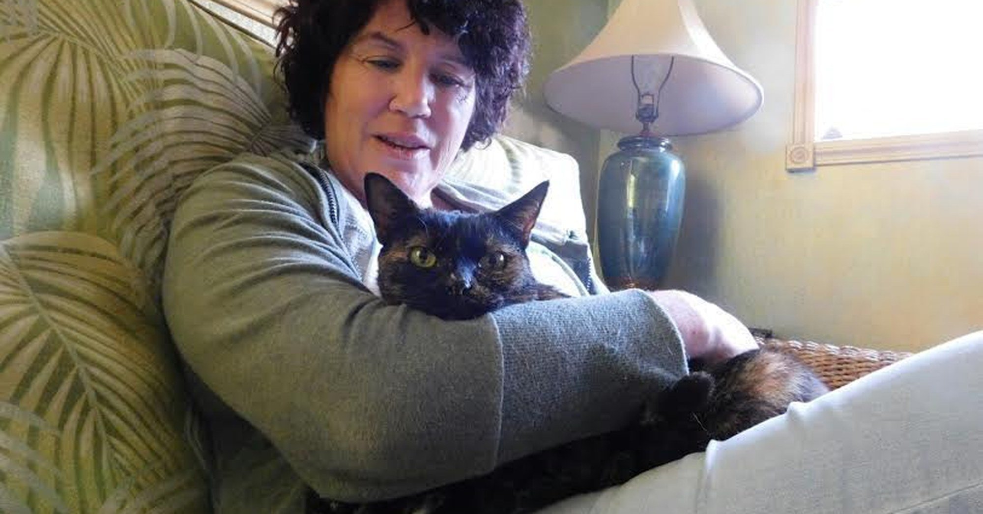 Gato perdido reencontra a dona 15 anos depois de desaparecer