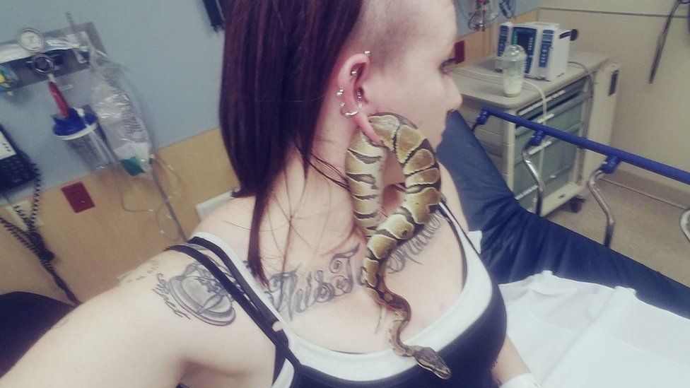 Sim, uma cobra enfiou-se no lóbulo da orelha desta mulher