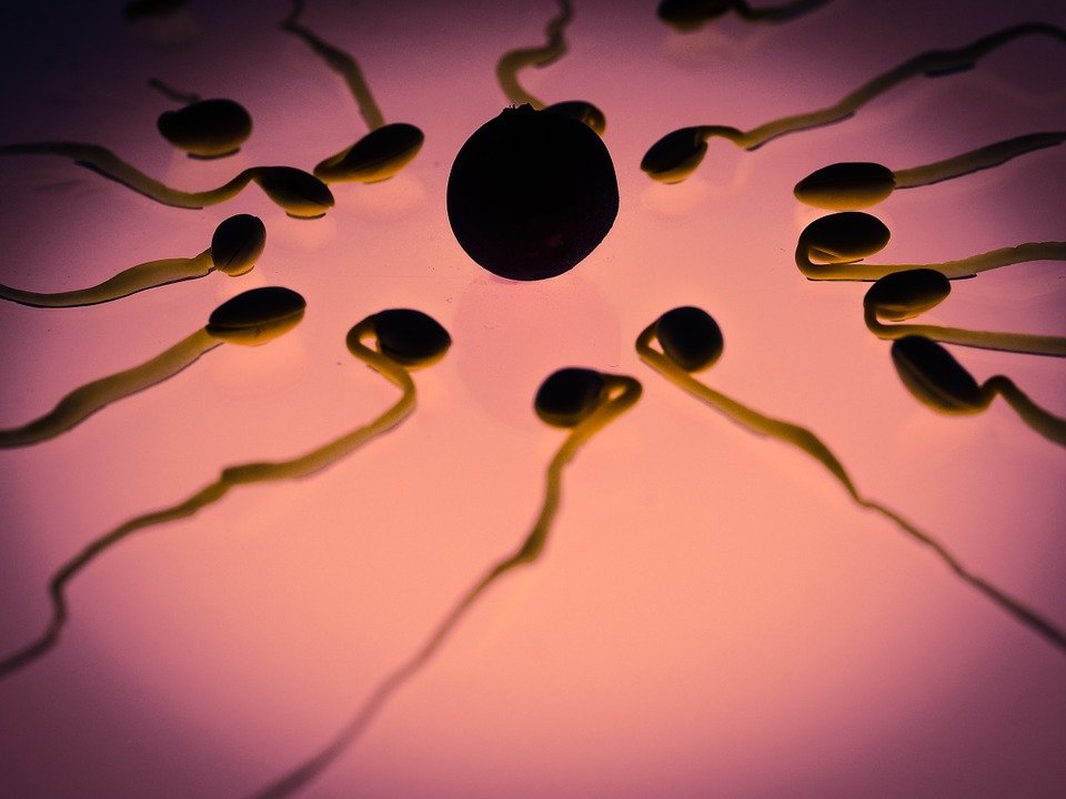 Gel contraceptivo para homens foi testado, e teve 100% de eficácia