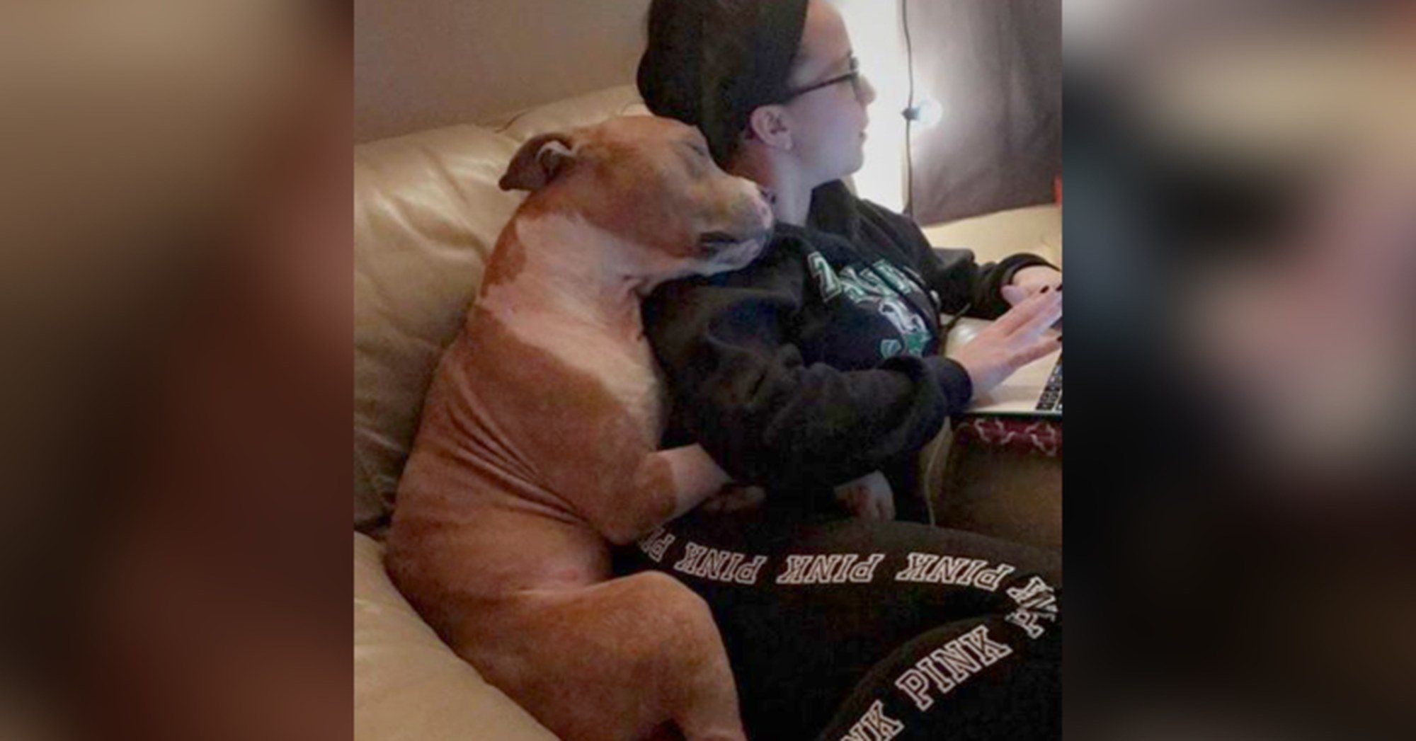 Esta fotografia ficou viral, e ilustra bem a magia de adotar um cão