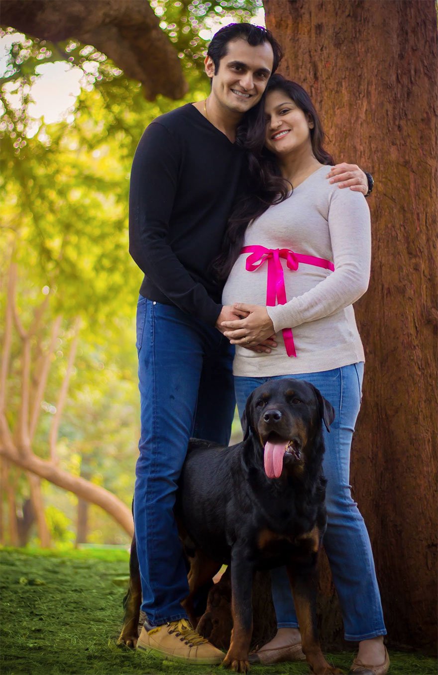Este «casal grávido» deu a melhor resposta a quem lhes disse: «livrem-se dos cães»