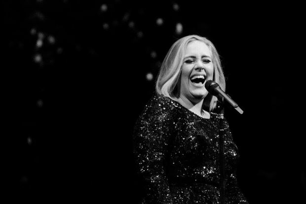 Momento Épico: Adele atacada por mosquitos em pleno concerto