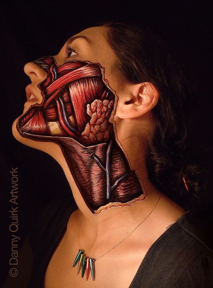 Pinturas anatómicas realistas revelam as estruturas que temos debaixo da pele