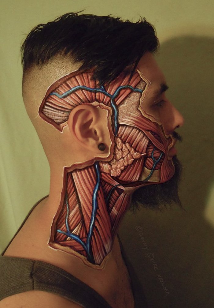 Pinturas anatómicas realistas revelam as estruturas que temos debaixo da pele
