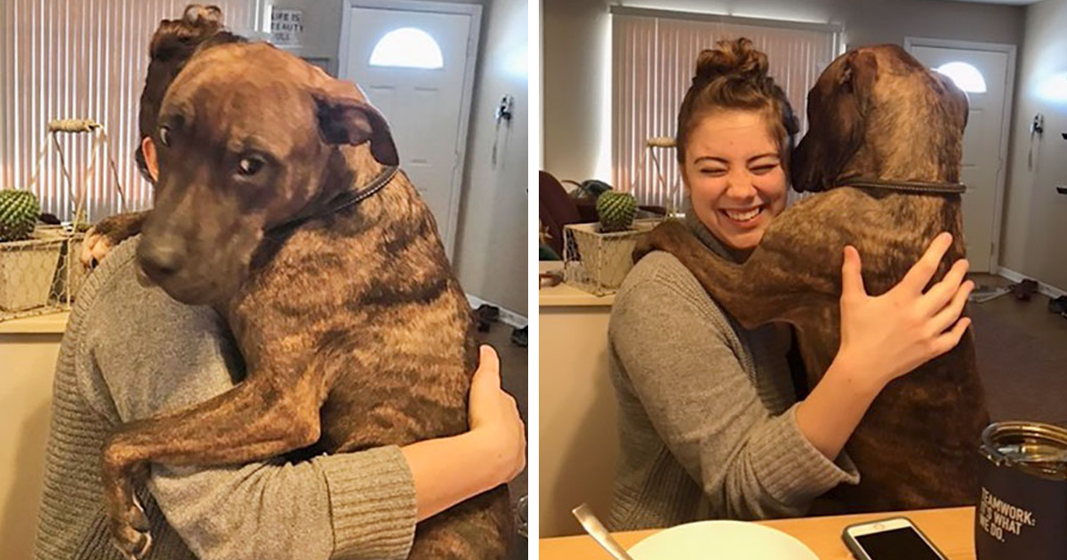 Cão adotado há um ano, ainda abraça a nova dona todos os dias