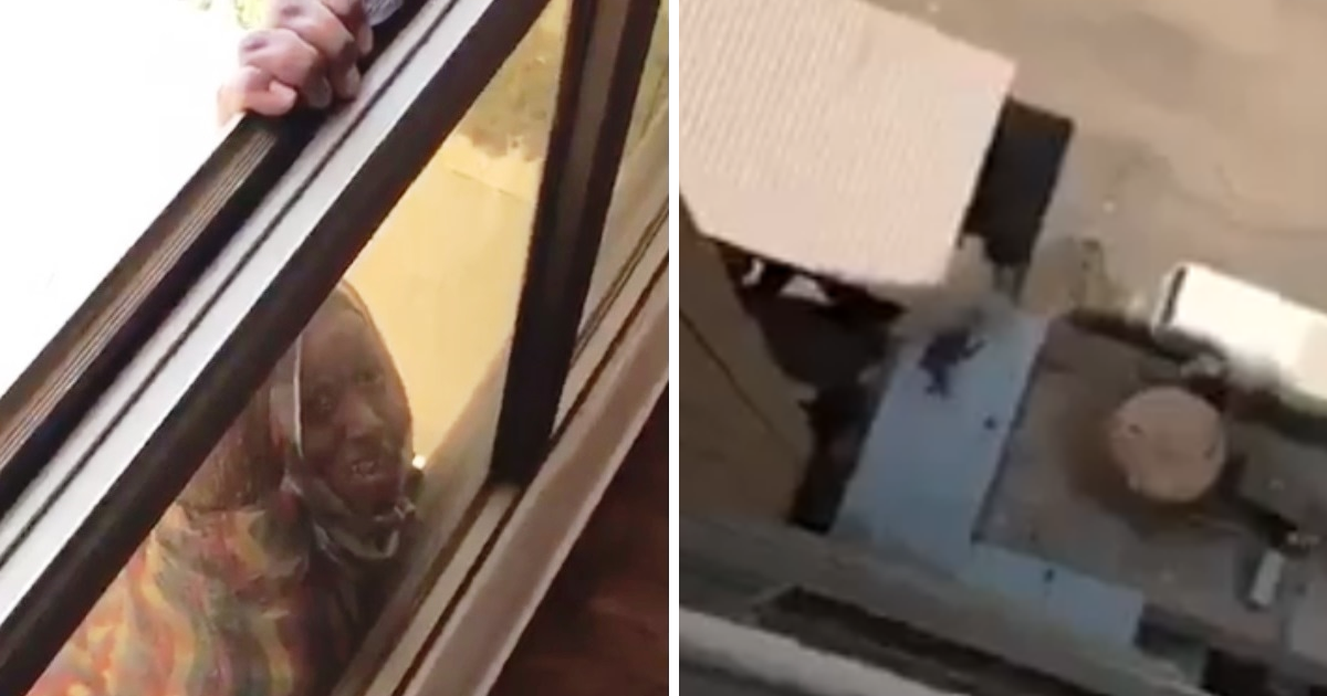Mulher filma empregada a cair da janela, em vez de a ajudar