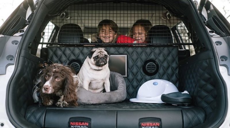 Nissan lança carro com bagageira ideal para quem tem cães