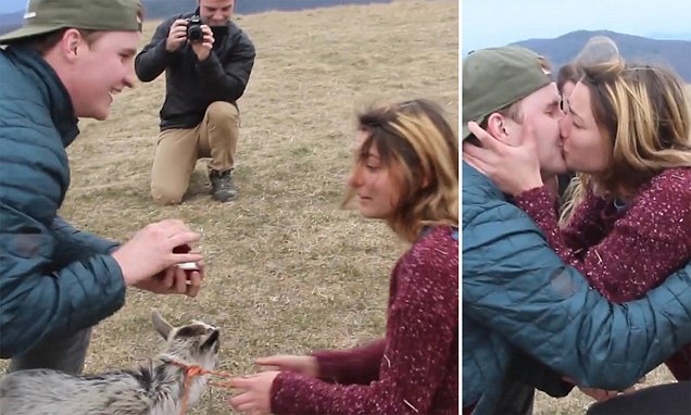 Ele usou uma cabra bebé para pedir a namorada em casamento, num vídeo emocionante