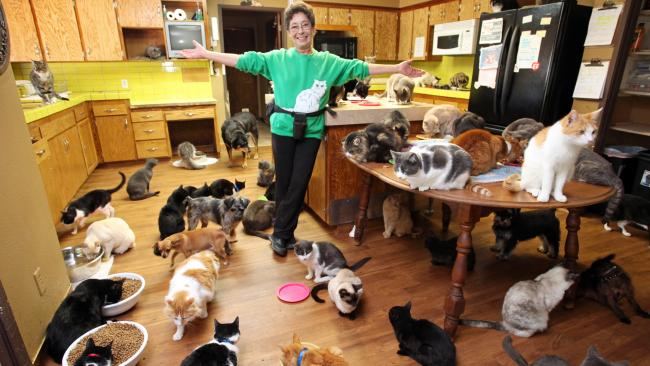 Ela vive com 1000 gatos, e deixou as câmaras entrar em sua casa