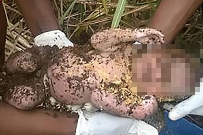 Bebé encontrado vivo depois de ter sido enterrado pela mãe