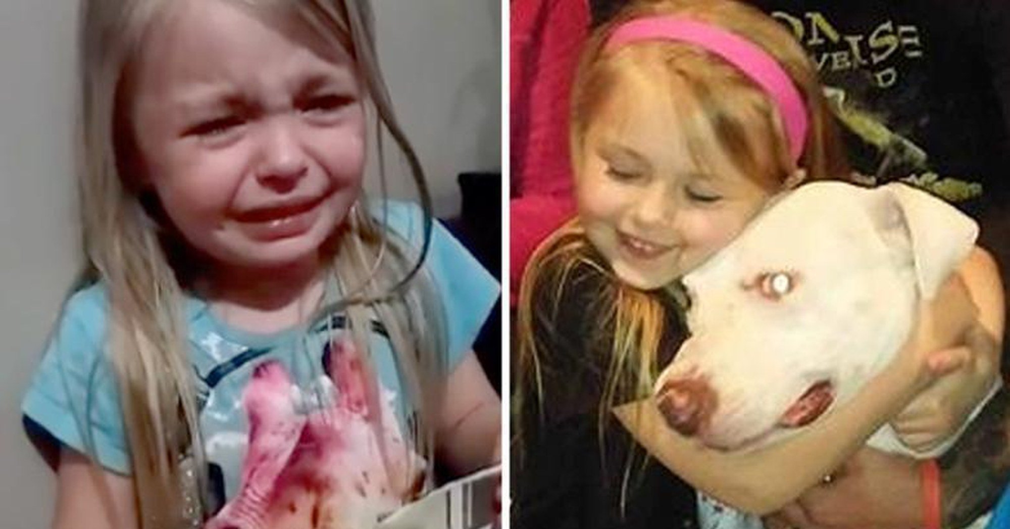 Menina encontra cão perdido depois de fazer pedido emocionado nas redes sociais