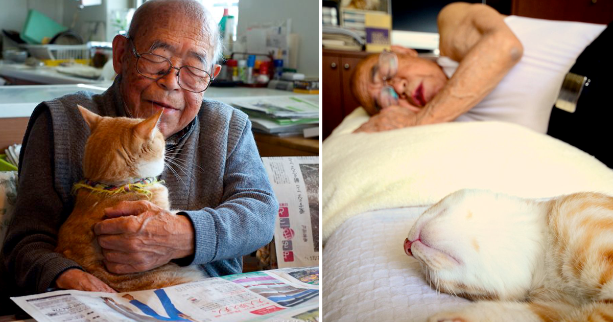 Neta ofereceu gato ao seu avô doente, e isso mudou-lhe a vida, para melhor, claro