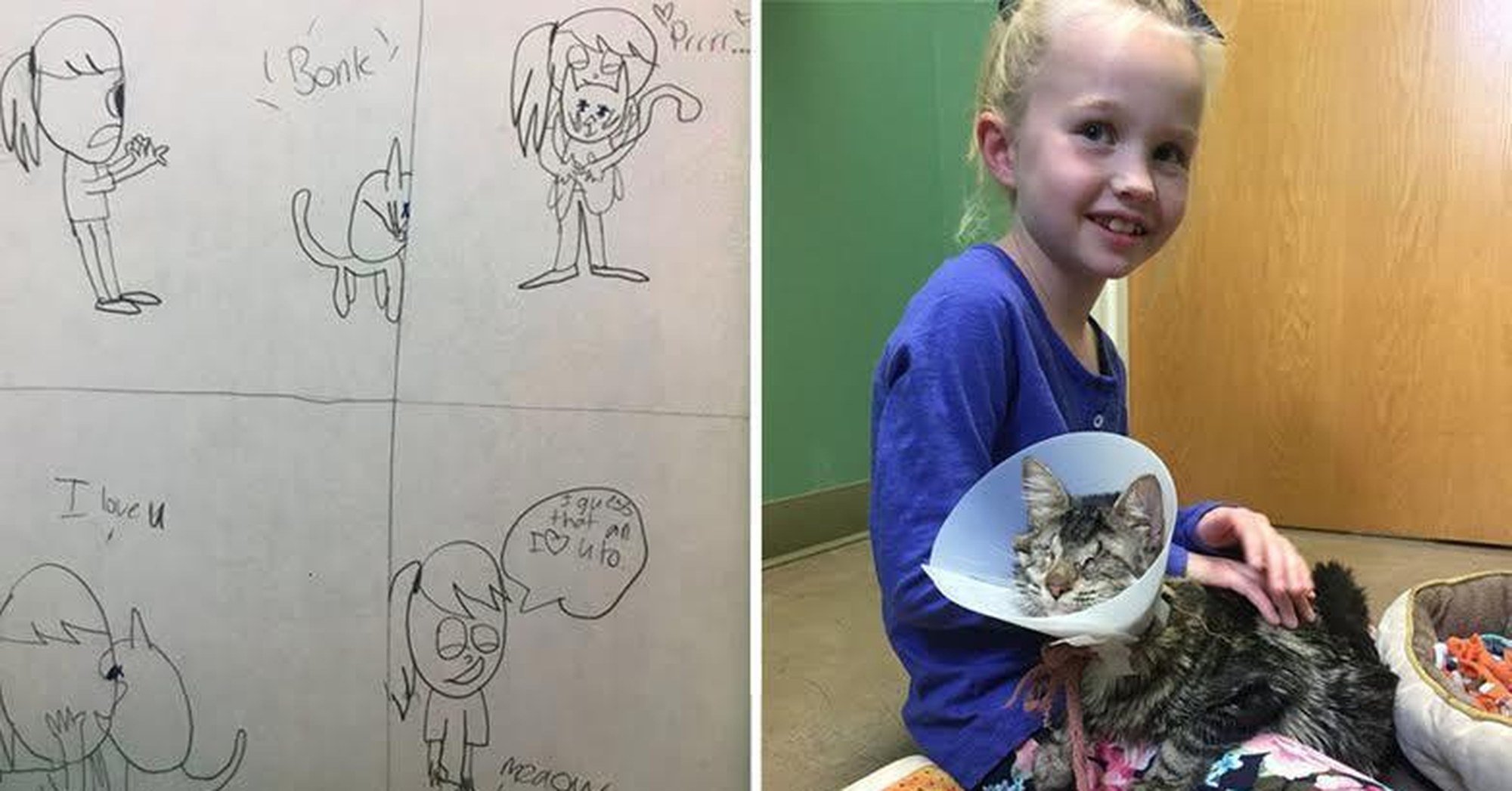 Menina desenhou esta gata cega, até convencer os pais a adoptá-la