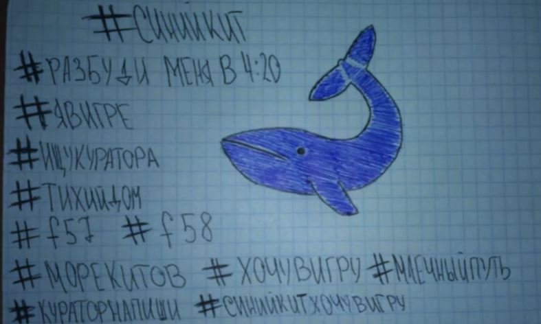 Jogo da «Baleia Azul» faz mais uma vítima em Portugal