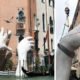 Escultura de mãos gigantes em Veneza alertam para alterações climáticas