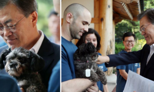 Presidente da Coreia do Sul adota cão resgatado dos mercados de carne